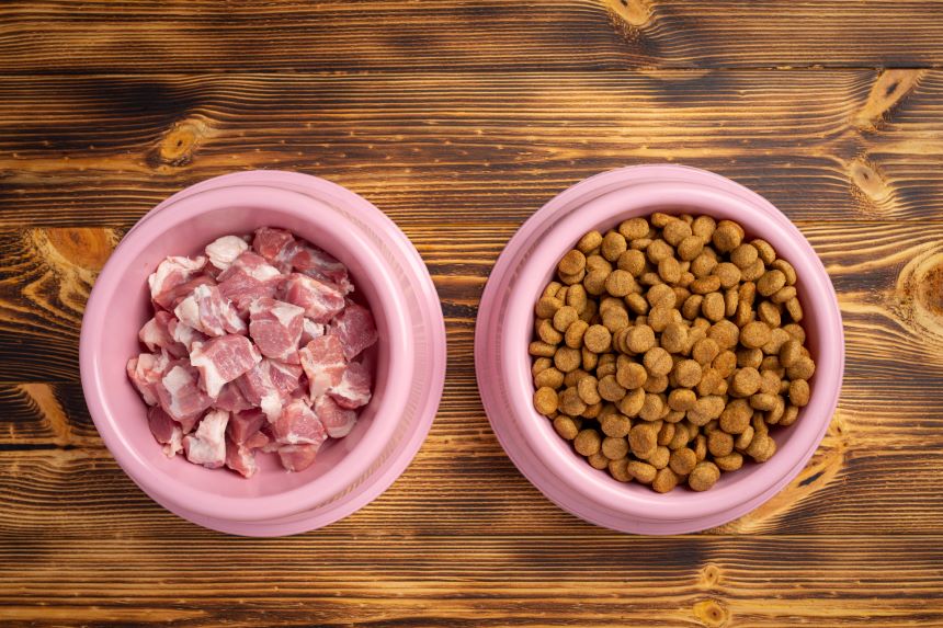 healthy fresh pet food ingredients