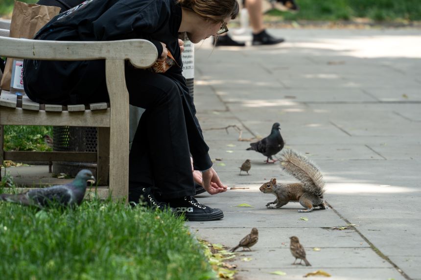 woman feeding Squirrel